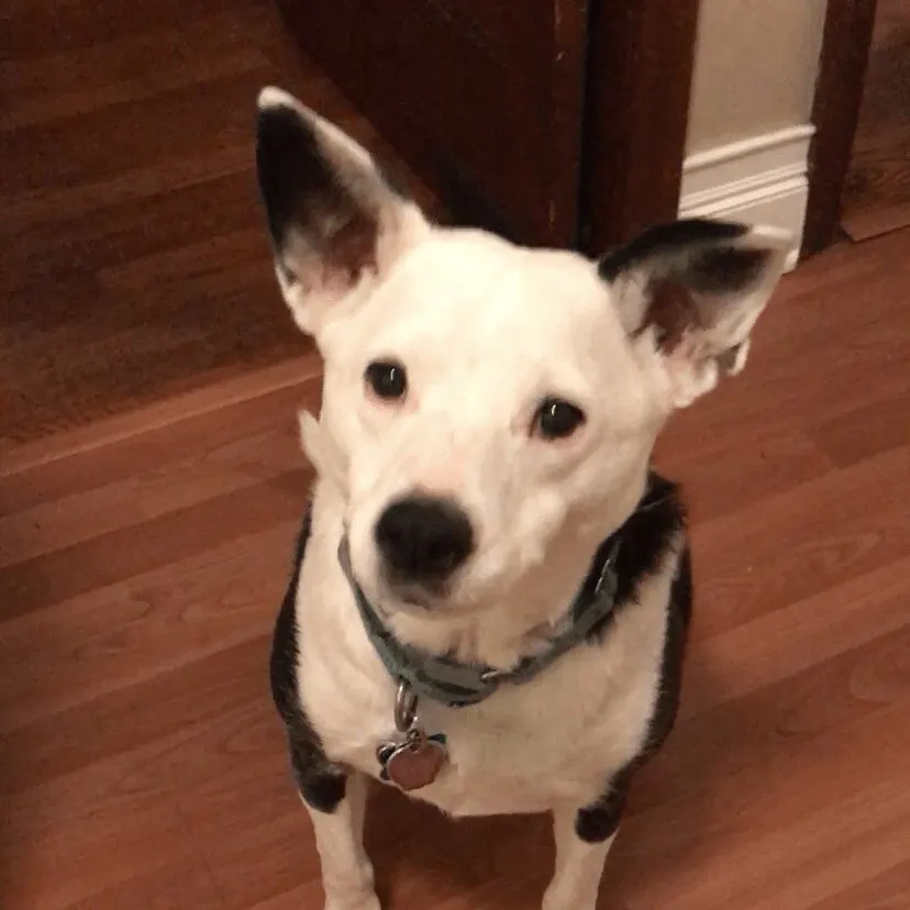 Maggie